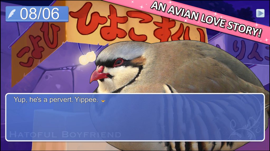 hatoful boyfriend,  indie games, indie games, indie developers, steam, steam games